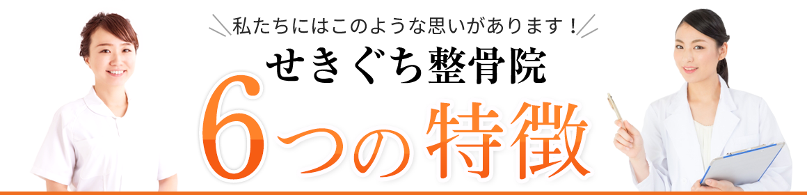 せきぐち整骨院 6つの特徴