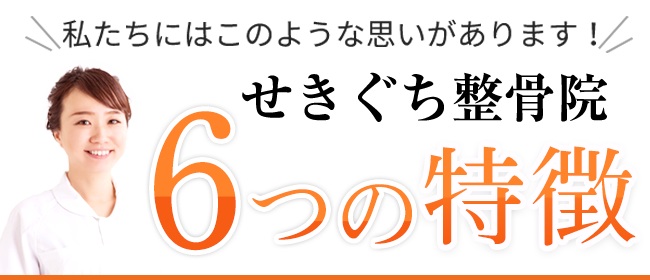 せきぐち整骨院 6つの特徴